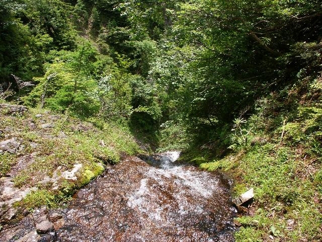 pict2205.jpg
