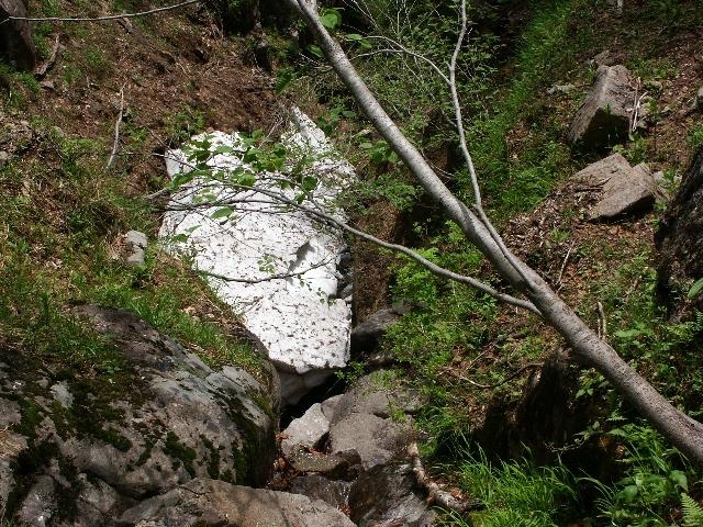 pict2213.jpg