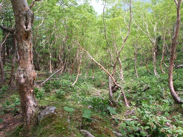pict2214.jpg
