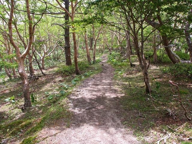 pict2218.jpg