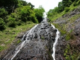 pict2203