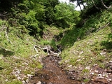 pict2206