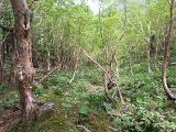 pict2214