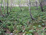 pict2215