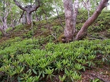 pict2222
