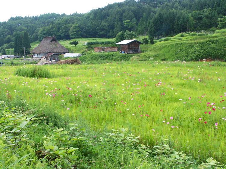 PICT2234.jpg