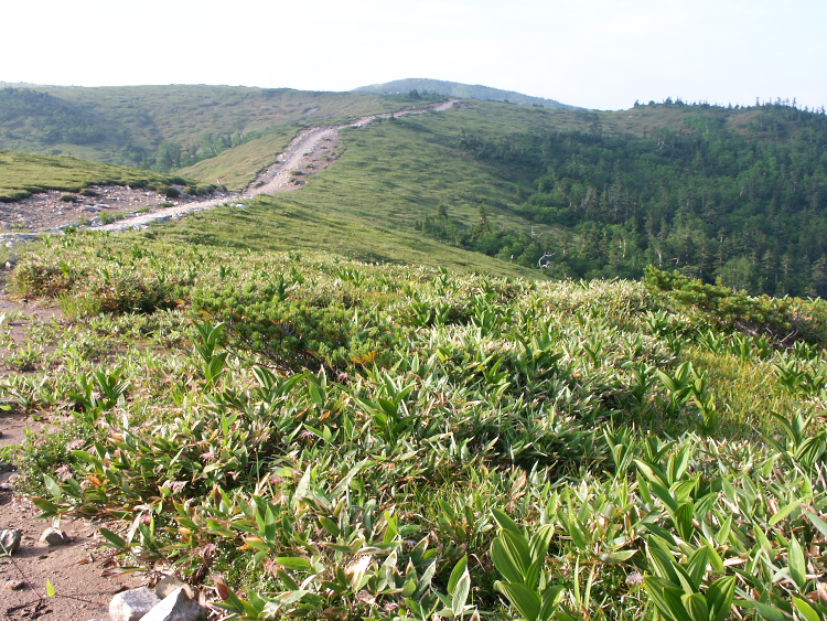 PICT2237.jpg