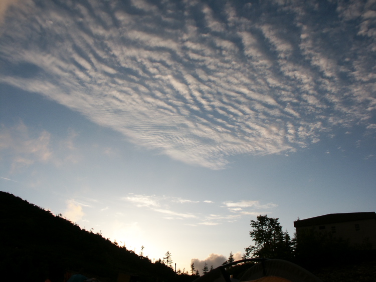 PICT2270.jpg