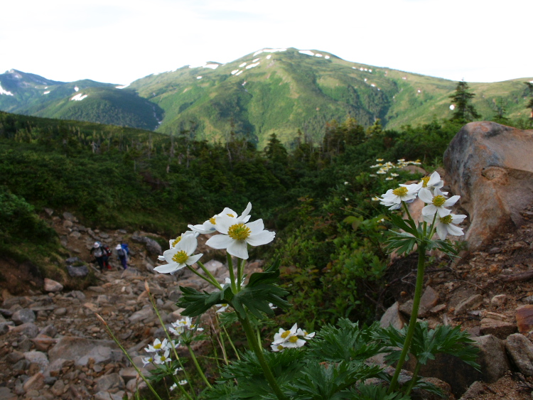 PICT2286.jpg