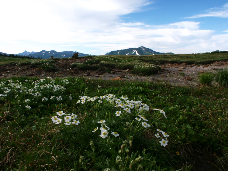 PICT2295.jpg