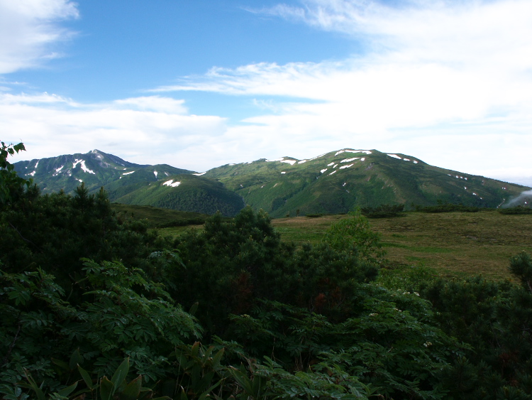 PICT2297.jpg