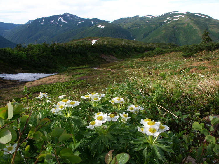 PICT2301.jpg