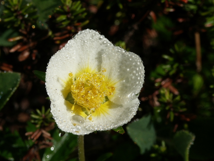 PICT2306.jpg