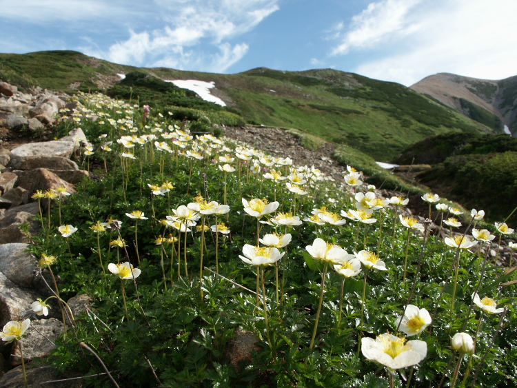 PICT2313.jpg