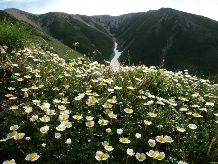 PICT2321.jpg