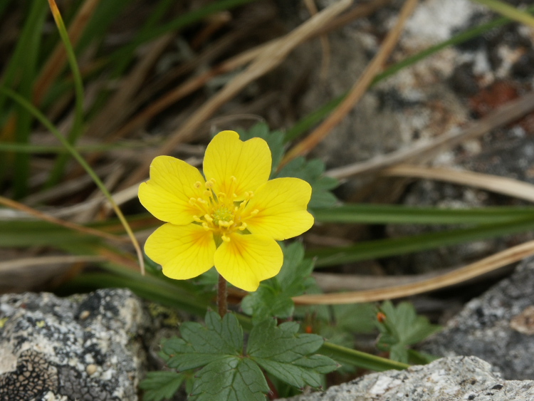 PICT2341.jpg