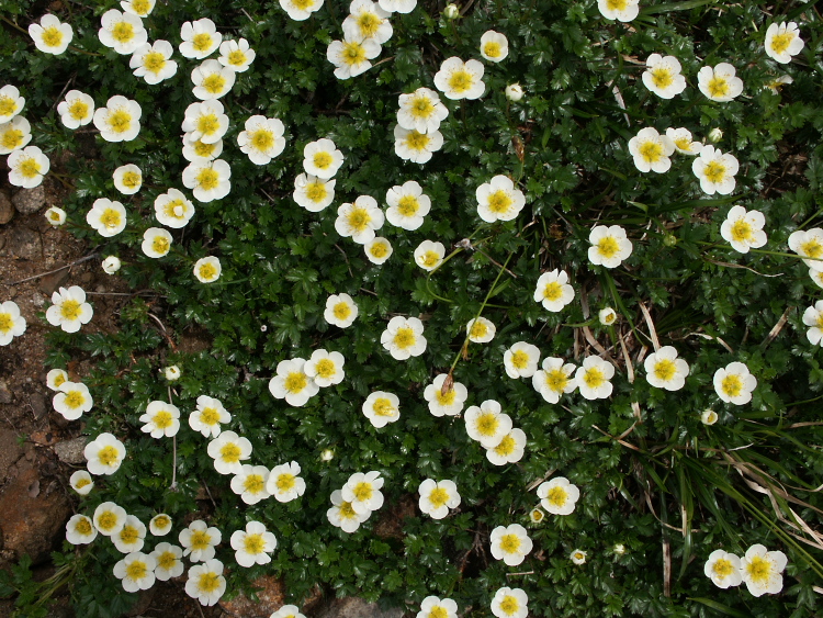 PICT2349.jpg