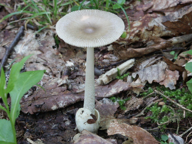 PICT2374.jpg