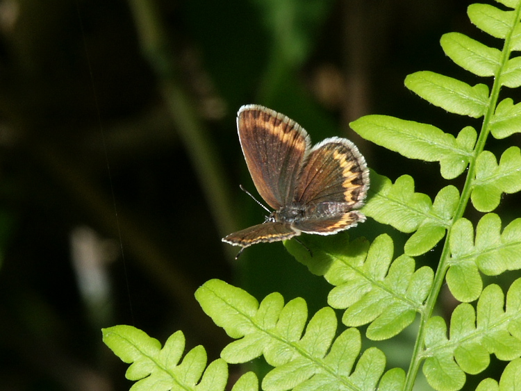 PICT2393.jpg