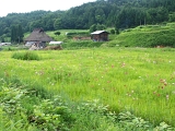 PICT2234