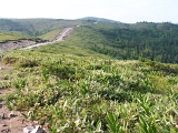 PICT2237