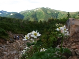 PICT2286