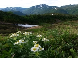 PICT2299