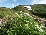 PICT2308