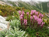 PICT2330