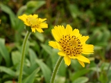 PICT2332