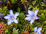 PICT2339