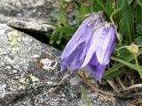 PICT2342