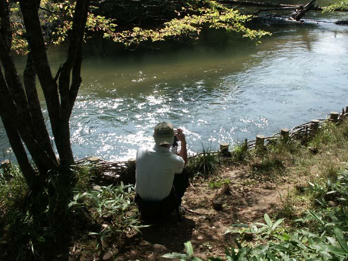 PICT2453.jpg