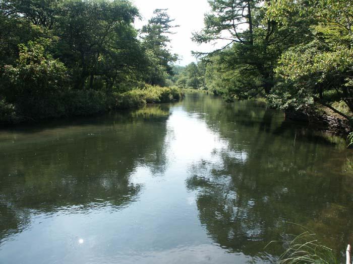 PICT2455.jpg