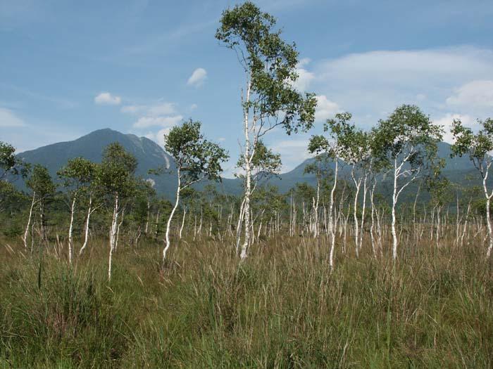 PICT2476.jpg