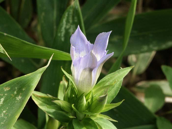 PICT2493.jpg