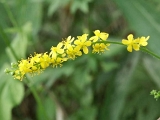 PICT2437