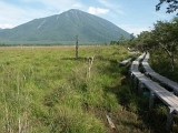 PICT2470