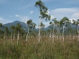 PICT2476