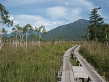 PICT2478