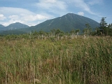 PICT2481