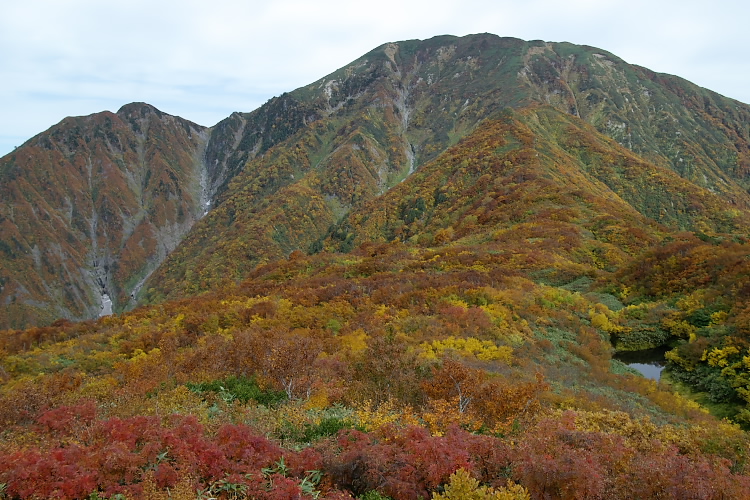 IMGP0793.jpg
