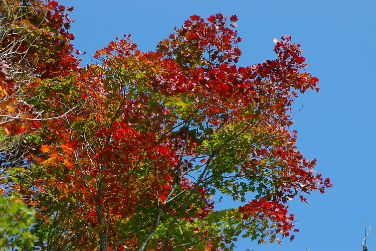 IMGP0932.jpg
