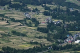 IMGP0498