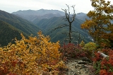 IMGP0839