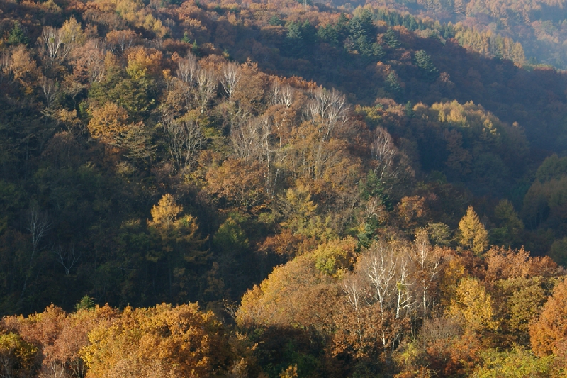 IMGP1695.jpg