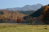 IMGP1701
