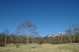 IMGP2525