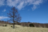 IMGP2616