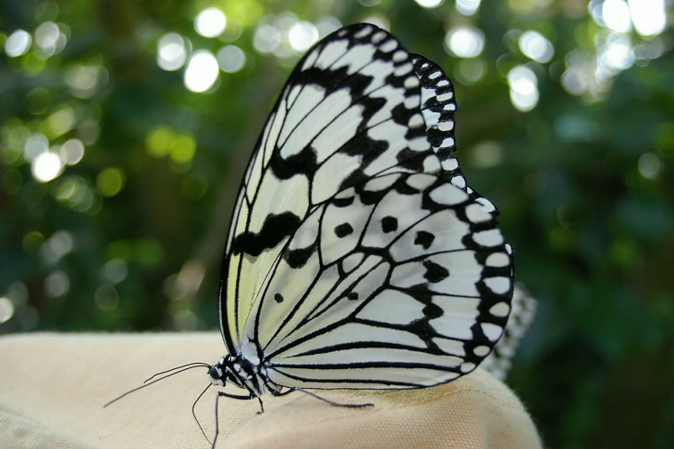 IMGP3705.jpg